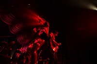 中田裕二「TOUR 17 “thickness”」の様子。（撮影：渡邉一生）