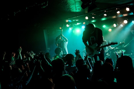 polly（Photo by Daisuke Miyashita）