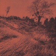 ザ・ディランII「きのうの思い出に別れをつげるんだもの」ジャケット