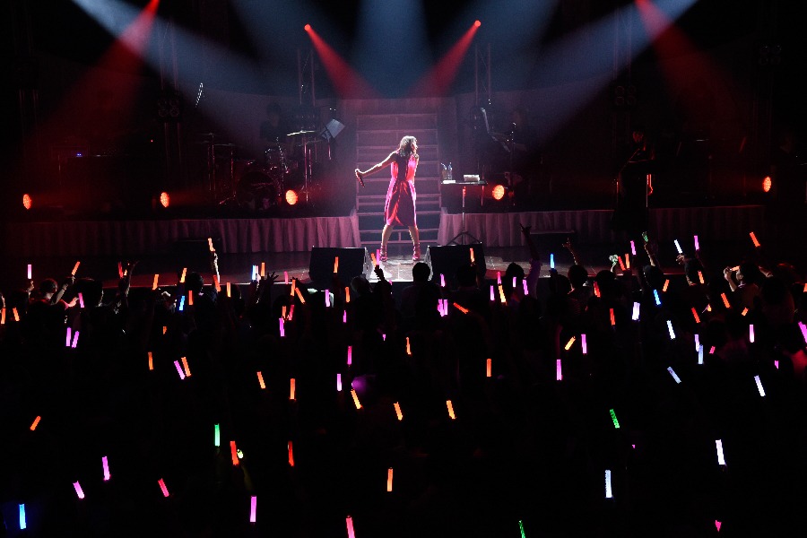 中島愛ワンマンライブ「Megumi Nakajima Live 2017 "Love for you"」の様子。（撮影：能美潤一郎）