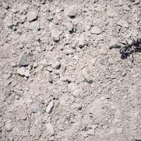 odol「GREEN」配信ジャケット