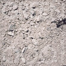 odol「GREEN」配信ジャケット