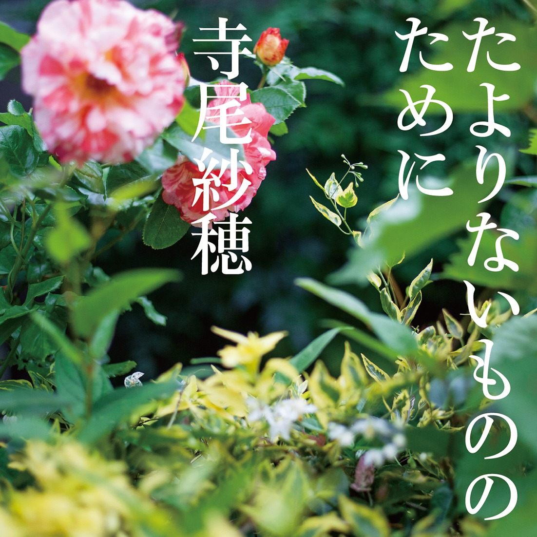 寺尾紗穂「たよりないもののために」ジャケット