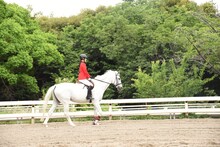 乗馬する菅井友香（欅坂46）。