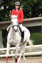 菅井友香（欅坂46）