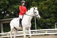 菅井友香（欅坂46）