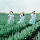 「Tパレ感謝祭」がリニューアル!Negicco、アプガ、ギャンパレ、アイルネら出演