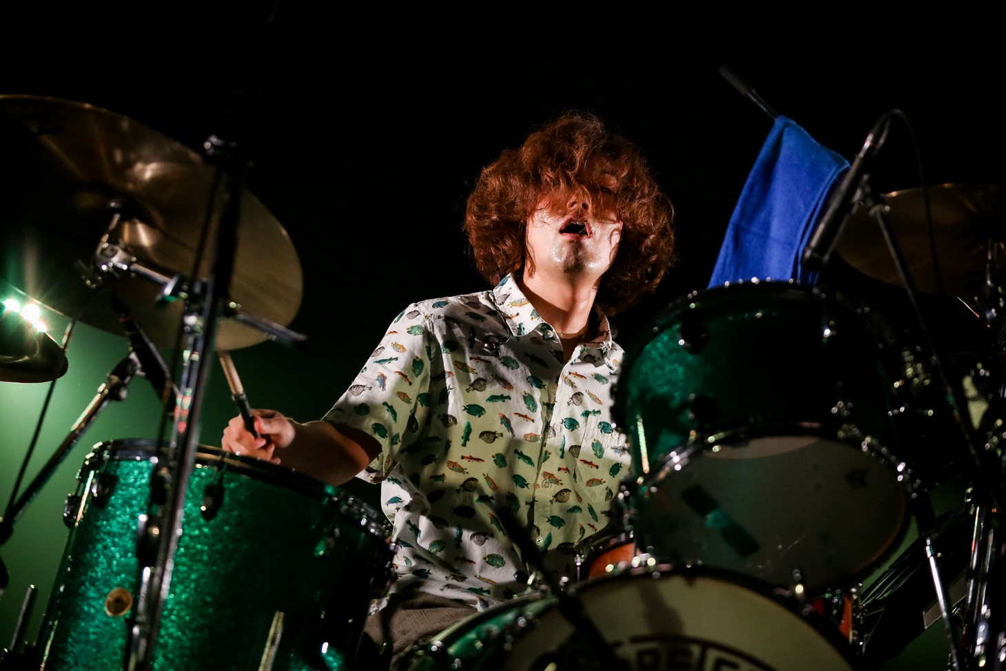 小泉拓（Dr / クリープハイプ）（Photo by Viola Kam [V'z Twinkle]）