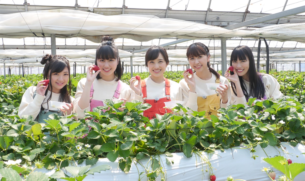 いちご狩りをするももいろクローバーZ。 (c)テレビ朝日