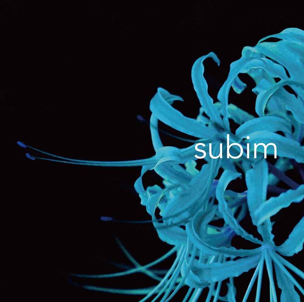 神はサイコロを振らない「subim」ジャケット