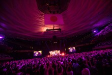 「Theピーズ30周年日本武道館」の様子。（撮影：新保勇樹）