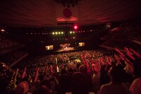 「Theピーズ30周年日本武道館」の様子。（撮影：新保勇樹）