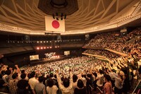 「Theピーズ30周年日本武道館」ダブルアンコールでの「グライダー」演奏時の様子。（撮影：新保勇樹）