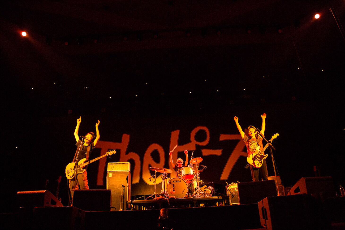 Theピーズ30周年日本武道館 [DVD] n5ksbvb Amazon.co.jp: Theピーズ30周年日本武道館 [Blu-ray] : ピーズ: DVD