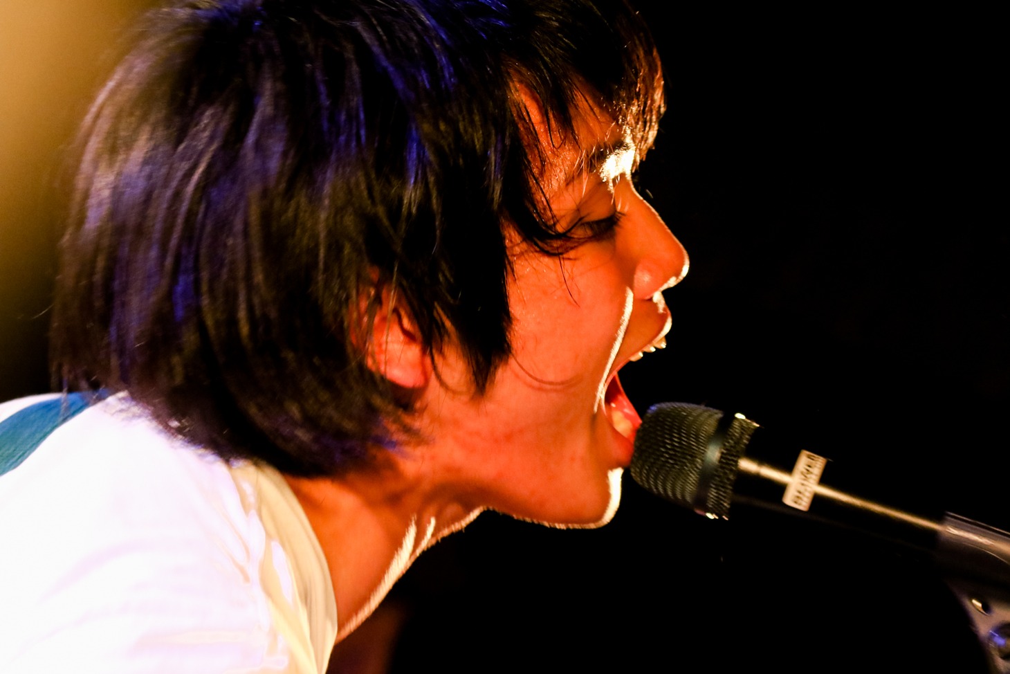 横山優也（Vo, G / KOTORI）（Photo by Viola Kam [V'z Twinkle]）