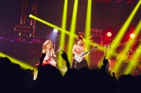 Aldiousのライブの様子。