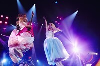 トキ（G）とRe:NO（Vo）。