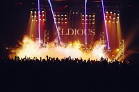 Aldiousのライブの様子。