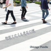 Chicago Poodle「袖振り合うも多生の縁」ジャケット