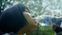 「サントリー天然水」新CM「水の山行ってきた 奥大山」編のワンシーン。