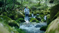 「サントリー天然水」新CM「水の山行ってきた 奥大山」編のワンシーン。