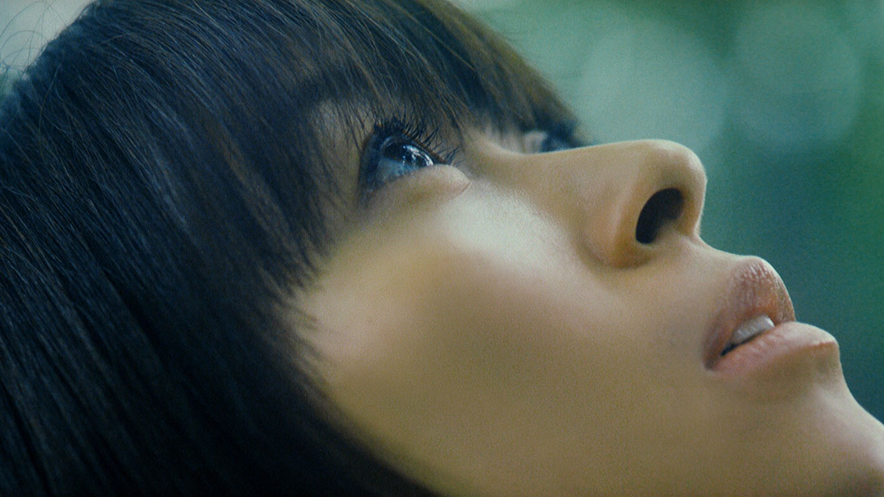 「サントリー天然水」新CM「水の山行ってきた 奥大山」編のワンシーン。