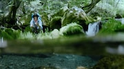 「サントリー天然水」新CM「水の山行ってきた 奥大山」編のワンシーン。