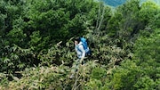 「サントリー天然水」新CM「水の山行ってきた 奥大山」編のワンシーン。