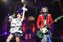 angela「angelaのミュージック・ワンダー★特大サーカスin日本武道館～僕等は目指したShangri-La～」東京・日本武道館公演の様子。（写真提供：キングレコード）