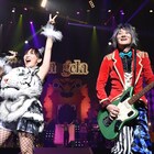 angela武道館&河口湖ライブを映像化、特典CDに“アイドルあっちゃん”制作曲