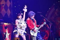 angela「angelaのミュージック・ワンダー★特大サーカスin日本武道館～僕等は目指したShangri-La～」東京・日本武道館公演の様子。（写真提供：キングレコード）