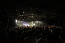 the peggiesのライブの様子。