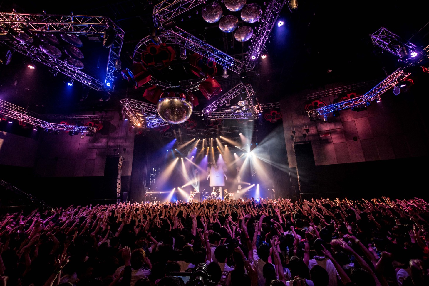 ヤバイTシャツ屋さん「“どうぶつえんツアー”ツアー 2017 ～ワンマン～」東京・新木場STUDIO COAST公演の様子。（Photo by keiju kawase）