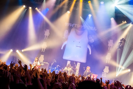 ヤバイTシャツ屋さん「“どうぶつえんツアー”ツアー 2017 ～ワンマン～」東京・新木場STUDIO COAST公演の様子。（Photo by keiju kawase）