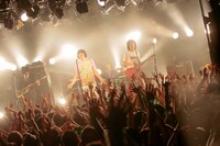 THE COLLECTORS（撮影：柴田恵理）