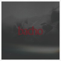 bacho「陽炎」ジャケット