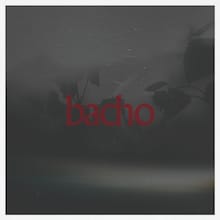bacho「陽炎」ジャケット