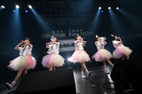 ロッカジャポニカ「ロッカジャポニカ 4th TOUR ～Revenge for 1000～」神奈川・CLUB CITTA'公演の様子。（撮影：笹森健一）