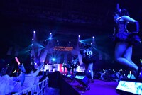 バージンロードを駆けるバニーガール。