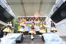 チームしゃちほこ（撮影：牧野孝彦）