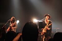 メレンゲ（Photo by topological）