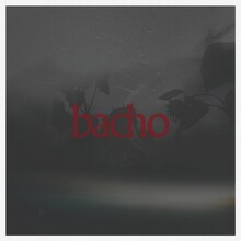 bacho「陽炎」ジャケット