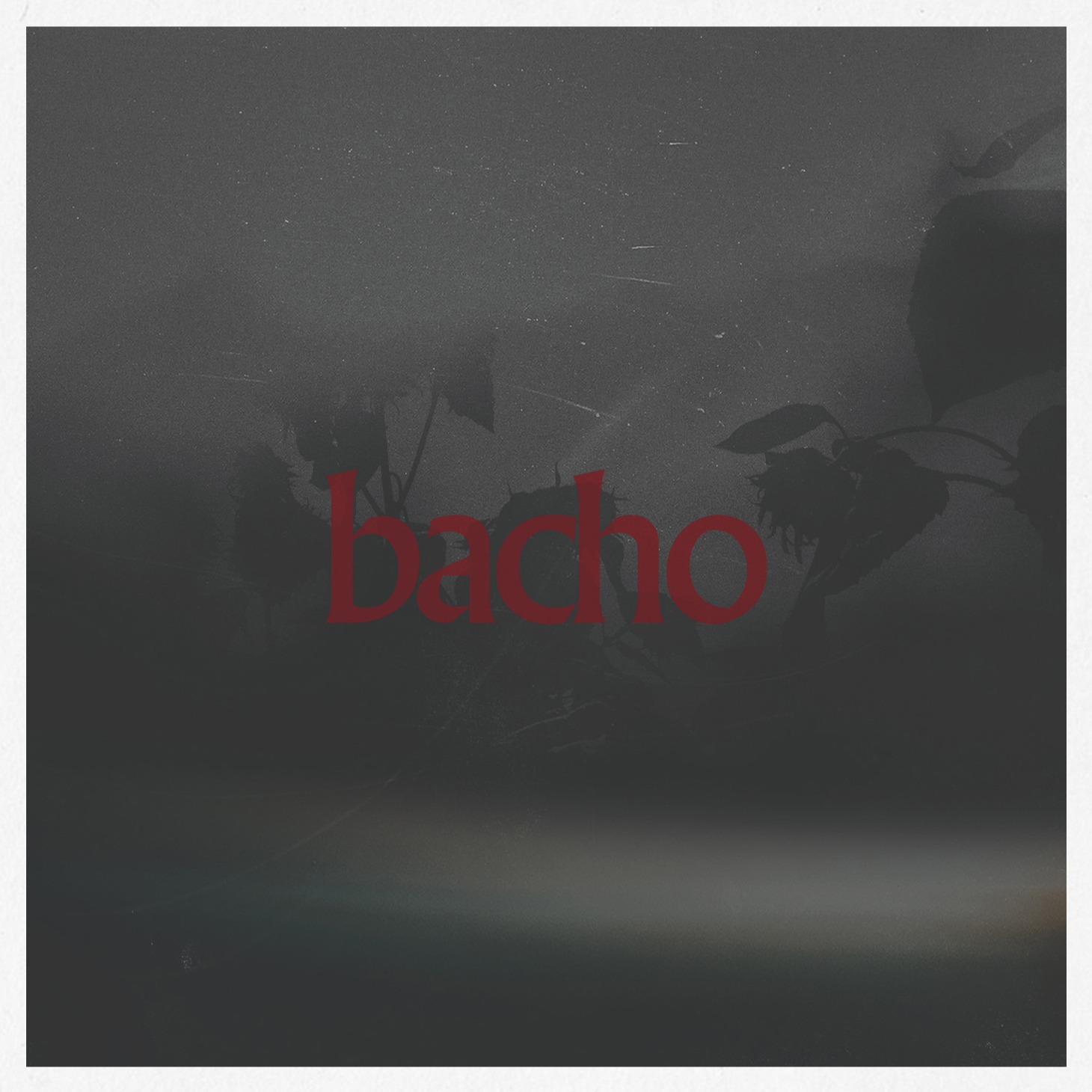 bacho「陽炎」ジャケット