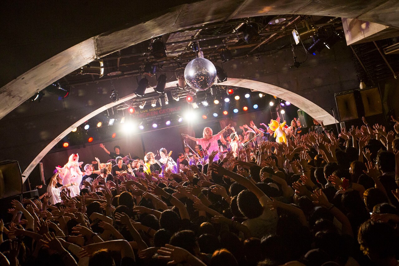 5年目の神戸「ネコフェス」で70組熱演「2度とない人生で5度も楽しい時間をありがとう」