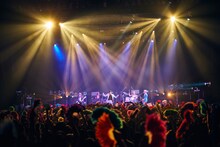 女王蜂（撮影：中野修也）