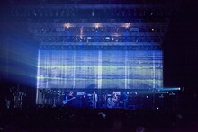 「Q」を披露する女王蜂。（撮影：中野修也）