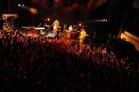 神聖かまってちゃんのライブの様子。（撮影：佐藤哲郎）