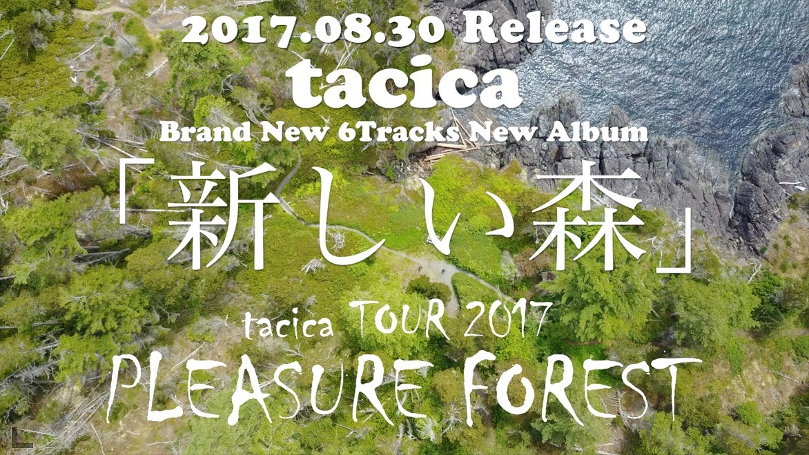 YouTubeにて公開されている「新しい森」および秋ツアー告知映像のワンシーン。