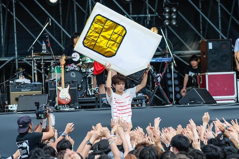 キュウソネコカミ