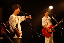 さくらしめじ（撮影：ハヤシサトル）